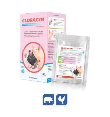 CLORACYN