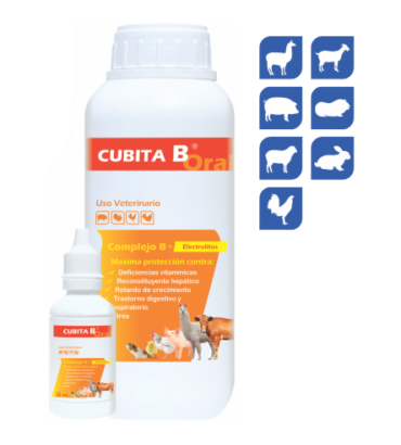 CUBITA B ORAL