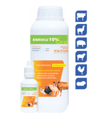 ENROCU 10% ORAL