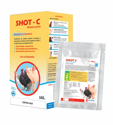SHOT C