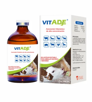 VITAD3E